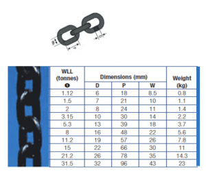 Lifting chain assembly